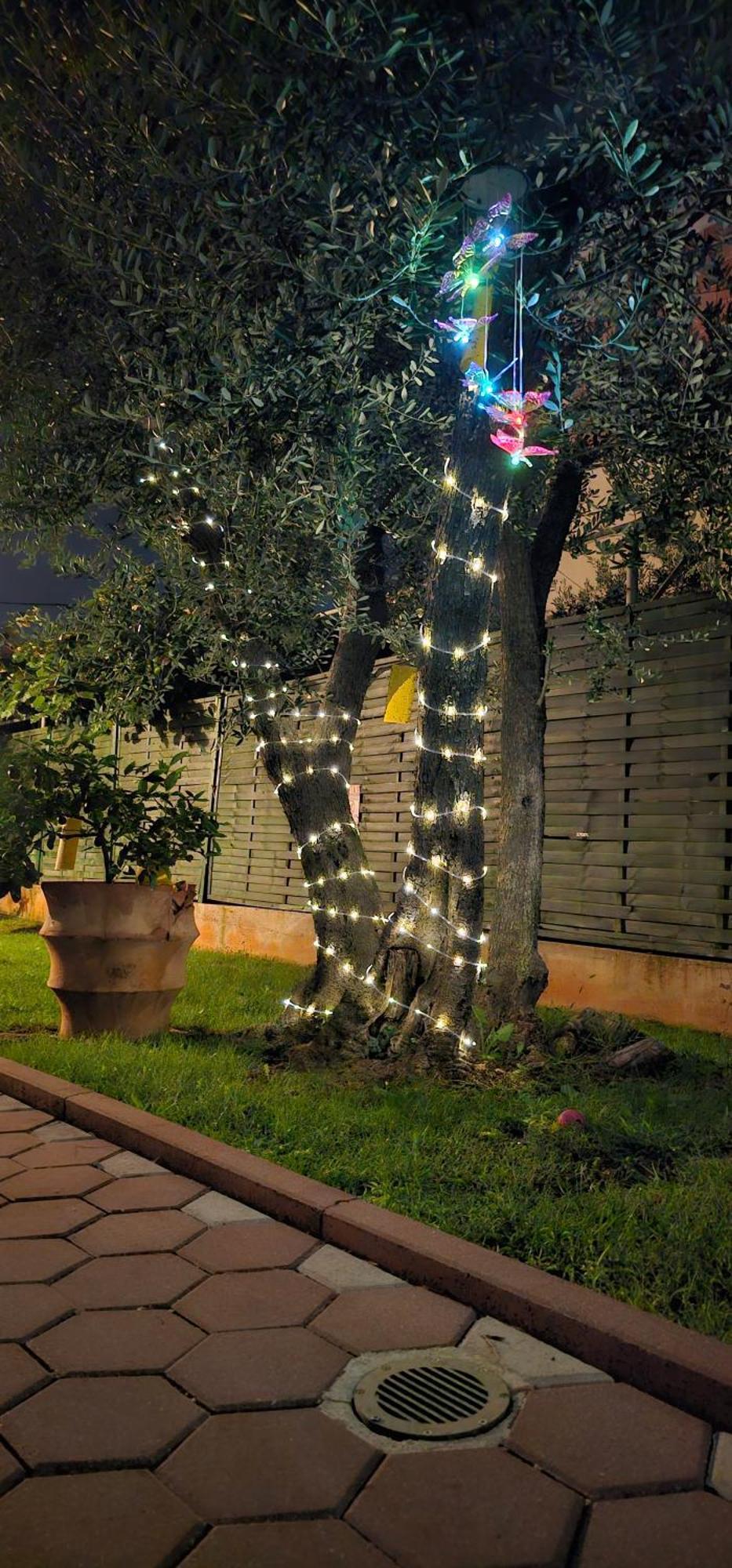 Vila Tena Rovinj Croatia Exterior photo